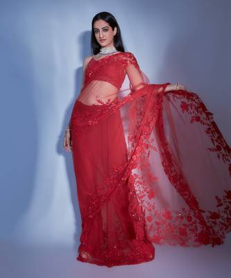 Hand Embroidered Floral Saree With Embroidered Bustier Blouse  2