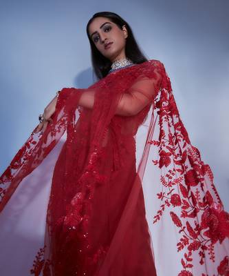 Hand Embroidered Floral Saree With Embroidered Bustier Blouse  6