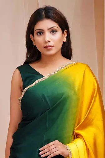 Multicolored SAREE