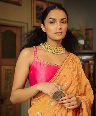Dilruba Narangi Jaal Saree Blouse 5