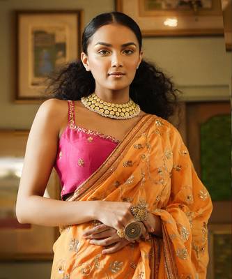 Dilruba Narangi Jaal Saree Blouse 8