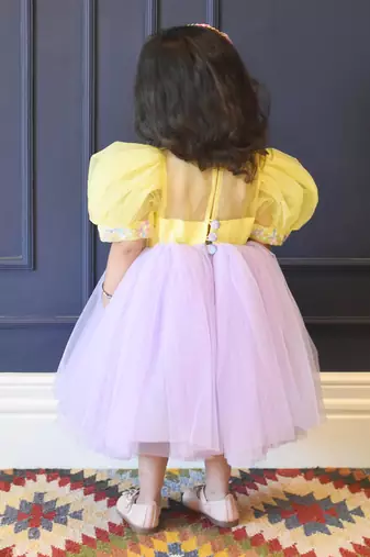 Yellow and Lilac Net Frock