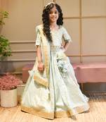 Blue Chanderi Lehenga Choli and Dupatta