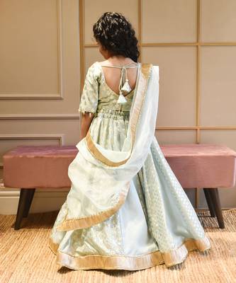 Blue Chanderi Lehenga Choli and Dupatta 2