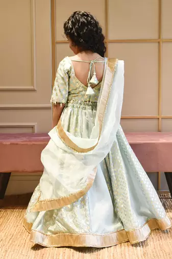 Blue Chanderi Lehenga Choli and Dupatta