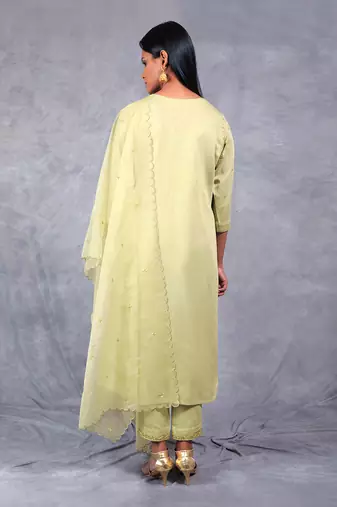 Olive Prakriti