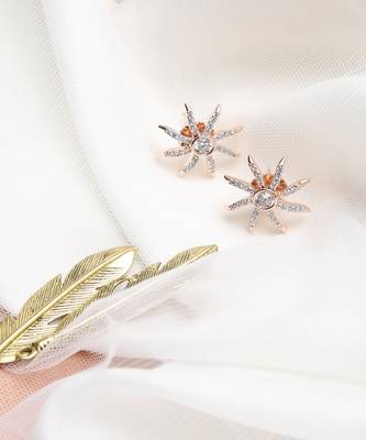 Star Diamond Earrings 2