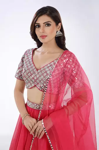 Afsa Rani Pink Lehenga Set
