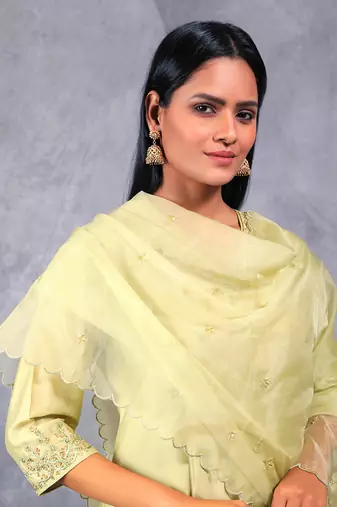 Olive Pushti