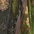 Marvelous pure bemberg silk blue bandhni printed salwar suit