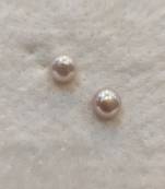 White pearl earrings