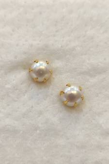 White pearl earrings
