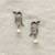 White pearl earrings