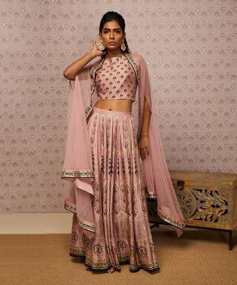 Sarouk Embroidered Lehenga With Dupatta 2