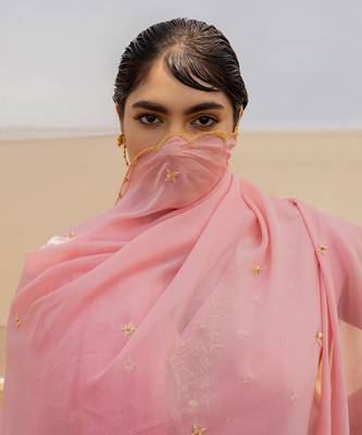 Baby Pink V Neck Jaal Organza Kurti With Ivory Bralette And Lime Kalidar Palazzo With Corner Embroidered Butti Dupatta 4