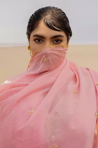 Baby Pink V Neck Jaal Organza Kurti With Ivory Bralette And Lime Kalidar Palazzo With Corner Embroidered Butti Dupatta