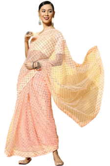 Beige embroidered net saree with blouse