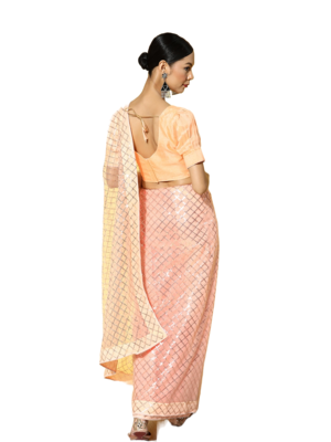 Beige embroidered net saree with blouse 4