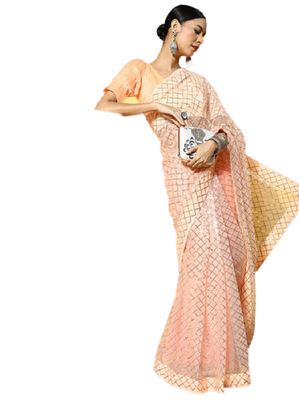Beige embroidered net saree with blouse 2