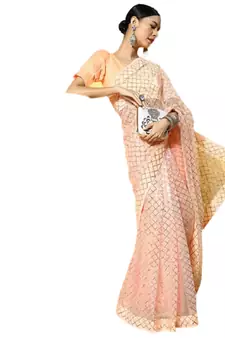 Beige embroidered net saree with blouse