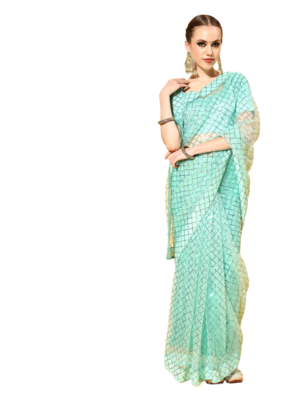 Light green embroidered net saree with blouse 1