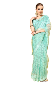 Light green embroidered net saree with blouse