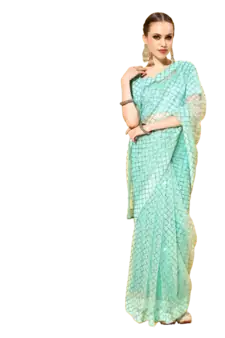 Light green embroidered net saree with blouse