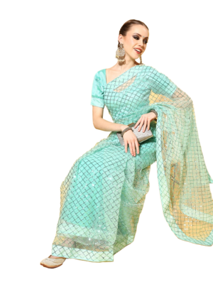 Light green embroidered net saree with blouse 2