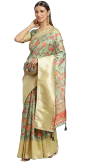 Sky blue printed banarasi silk saree with blouse