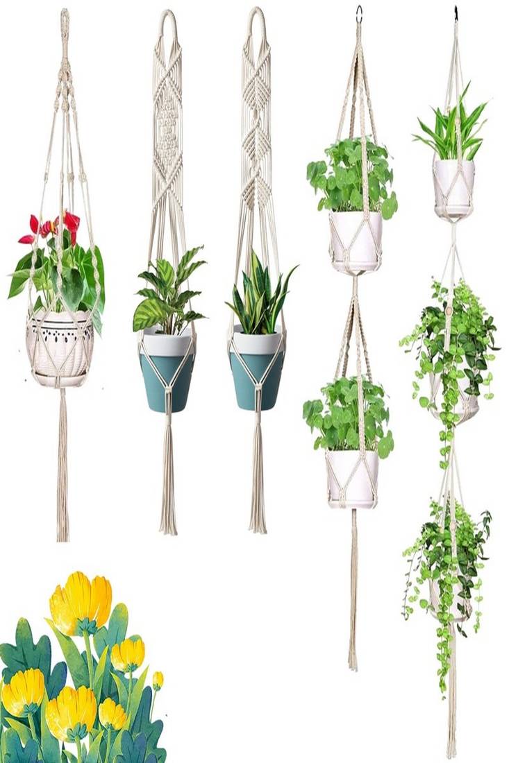 ecofynd Macrame 3 Set Cotton Plant Hanger [Without Pot] Rope Flower Pot  Holder for Indoor Outdoor Balcony Garden Wall - Greenpost Retail Private  Limited - 4001159