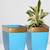 ecofynd 8 inches Midland Metal Planter Indoor Outdoor Balcony Tapered Plant Pot Home Garden Office Flowering Container