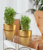 ecofynd 6 inches Alle Metal Plant Pot with Stand, Set of 2 Gold Decorative Modern Living Room Indoor Planter Office