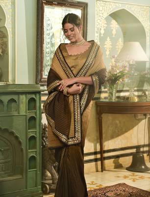 Coffee Colour Padding Saree With Mirror Embroidery Work 3
