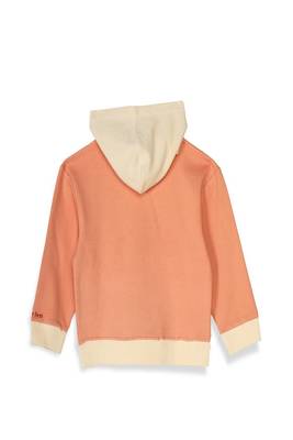 Colour Blocked Earth Unisex Hoodie, Dusty Pink | Planet First 2