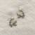 White pearl earrings