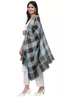 Spatial Brown & Multi Checkered Viscose Rayon scarf