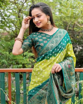 green original Handmade Bandhej with Faux Kanchipuram zari and minakari weaving big Border bandhani saree 2