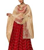 Salwar Studio Women's Light gold Organza Dupatta