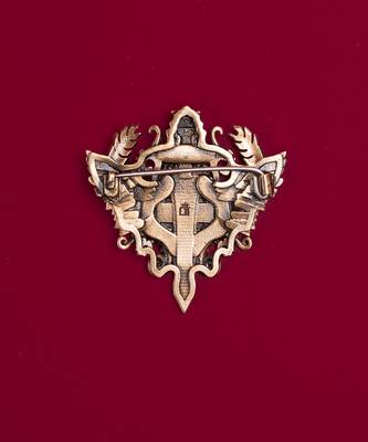 Knight Lion Brooch 3