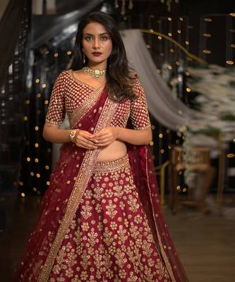 Wine Querishi Lehenga 3