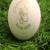 GRASSHOPPER Beamer White Season Ball