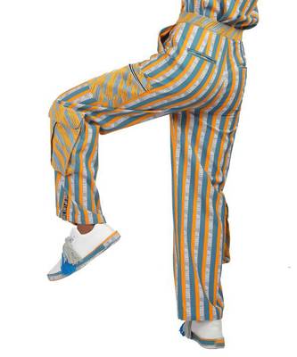 Multi Color Striped Pants 3