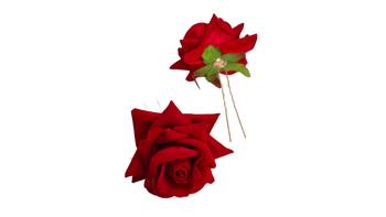 Maroon Rose Flowers Hair Clips,Hair Accessories,Hair Pins for B'day,Gift(2 Pack) 3