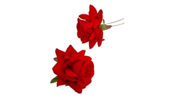 Red Rose Flowers Hair Clips,Hair Accessories,Hair Pins for B'day,Gift(2 Pack) 3