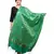 Banjara India Women's Banarasi Kora Silk Zari Dupatta - Curly-Green