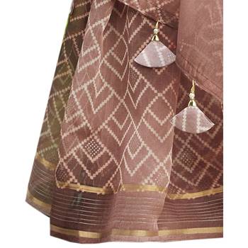 Peach printed organza saree with blouse 3
