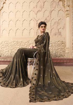 Chocolate embroidered fancy fabric saree with blouse 4