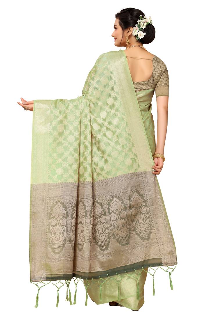 Light green woven organza saree with blouse