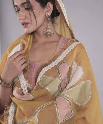 Gulnaaz Anarkali Set 3