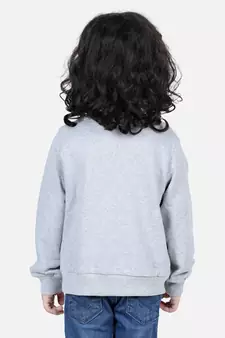 BownBee Boys Full Sleeve Sweatshirt - Gray